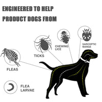 Natural Flea And Tick Collar For Dogs.