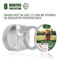 Natural Flea And Tick Collar For Dogs.