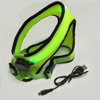 Rechargeable Glowing Dog Harness