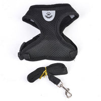 Adjustable Harness For Small To Medium Cats And Dogs.