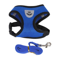 Adjustable Harness For Small To Medium Cats And Dogs.