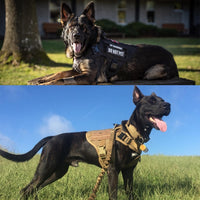 Tactical No Pull Dog Training Harness