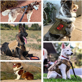 Tactical No Pull Dog Training Harness